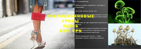СК Балахна