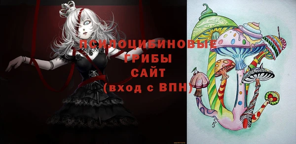СК Балахна