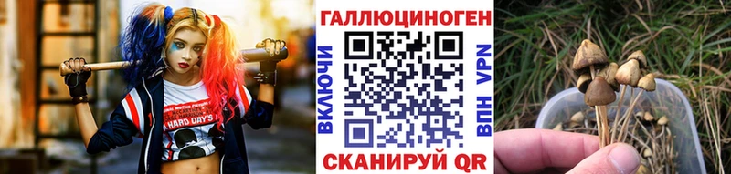 где продают   это официальный сайт  Псилоцибиновые грибы Magic Shrooms  Черняховск 